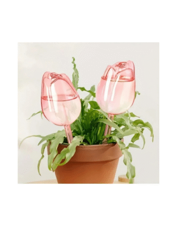 Decorative Tulip Style Self-Watering Planter Bulb – Auto Watering Solution for Indoor Pots and Garden Plants (1 Pcs)