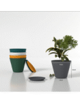 Premium Plastic Big Flower Pot Set With Matching Base Trays (5 Pcs set)