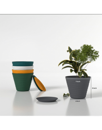 Premium Plastic Big Flower Pot Set With Matching Base Trays (5 Pcs set)
