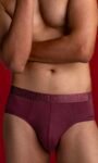 DaMENSCH Unreal Brief- Topaz Red Underwear
