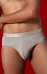 DAMENSCH Unreal Brief- Silver Grey Underwear