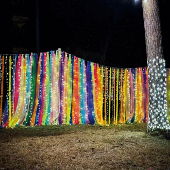 Diwali decoration light 5mtr
