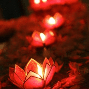 Diwali lotus light